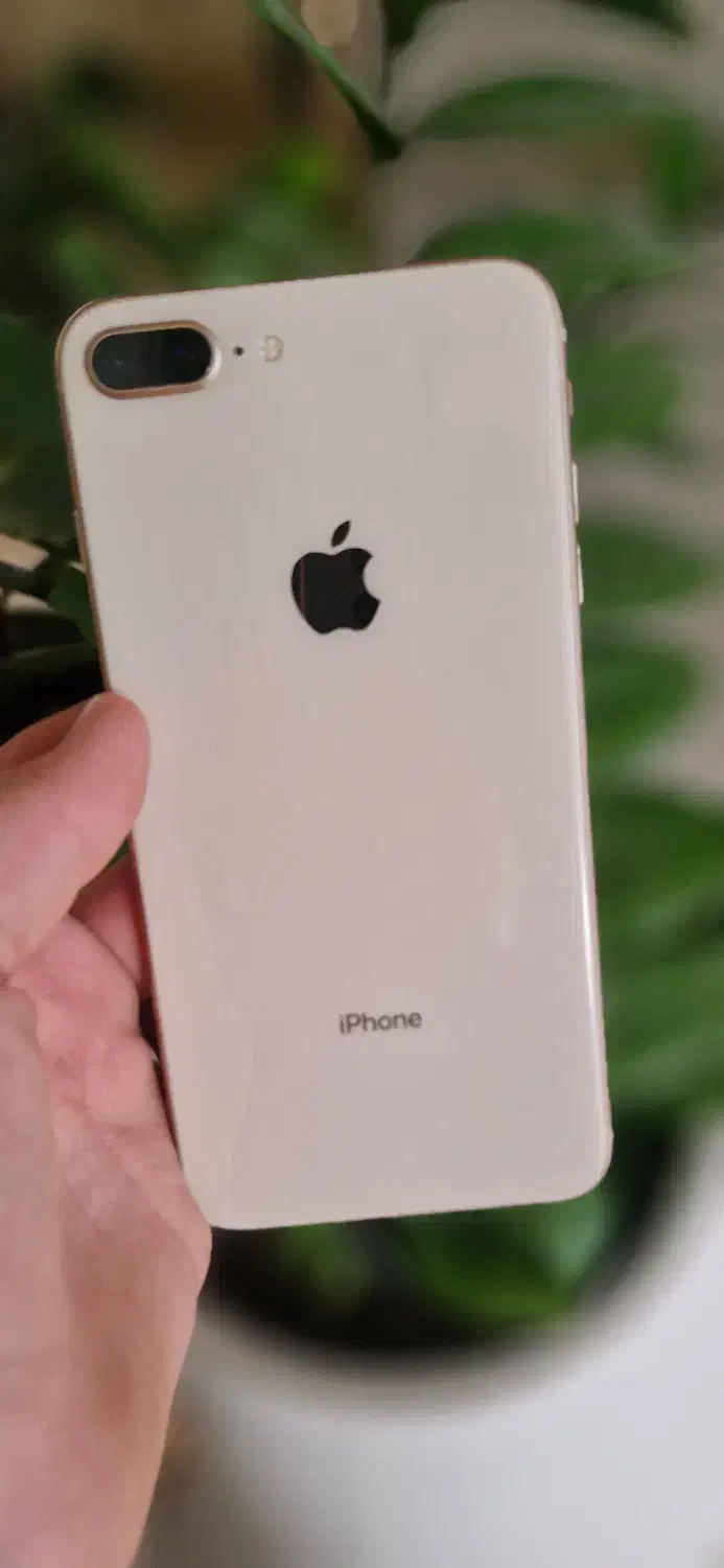 Iphone 8 plus|موبایل|اصفهان, سنبلستان|دیوار