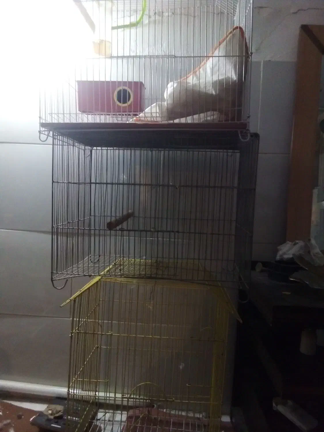 3عددقفس پرند|لوازم جانبی حیوانات|مشکین‌دشت, |دیوار