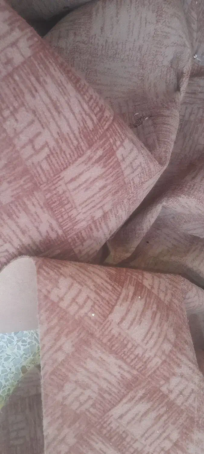 موکت ۱۲متری|موکت|اهواز, کمپلو جنوبی|دیوار