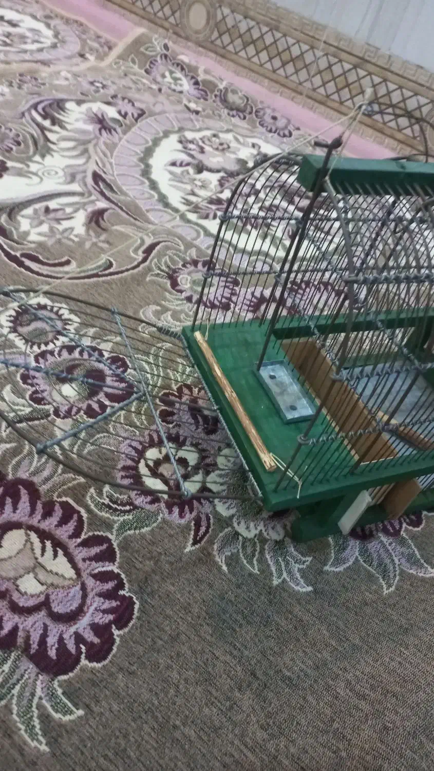 قفس تله ای|لوازم جانبی حیوانات|همدان, |دیوار