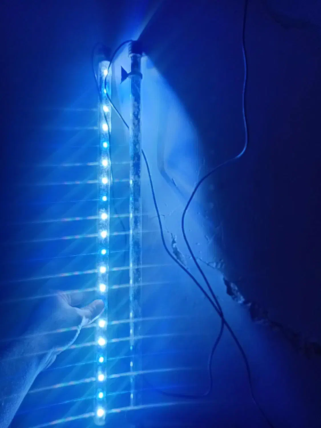 لوازم اکواریوم چراغ و بخاری|ماهی|کرج, نوروزآباد|دیوار