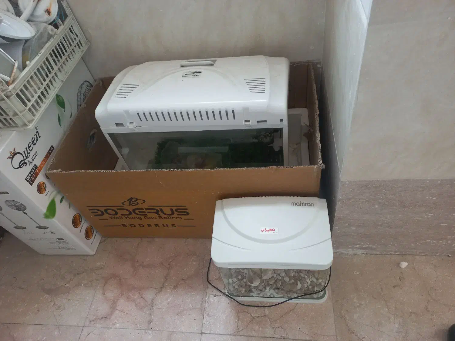 آکواریوم|ماهی|ارومیه, |دیوار