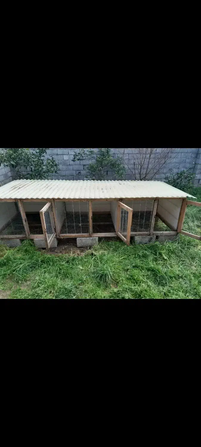 قفس نگهداری جوجه غاز مرغ اردک و بلدرچین و..|لوازم جانبی حیوانات|ایزدشهر, |دیوار