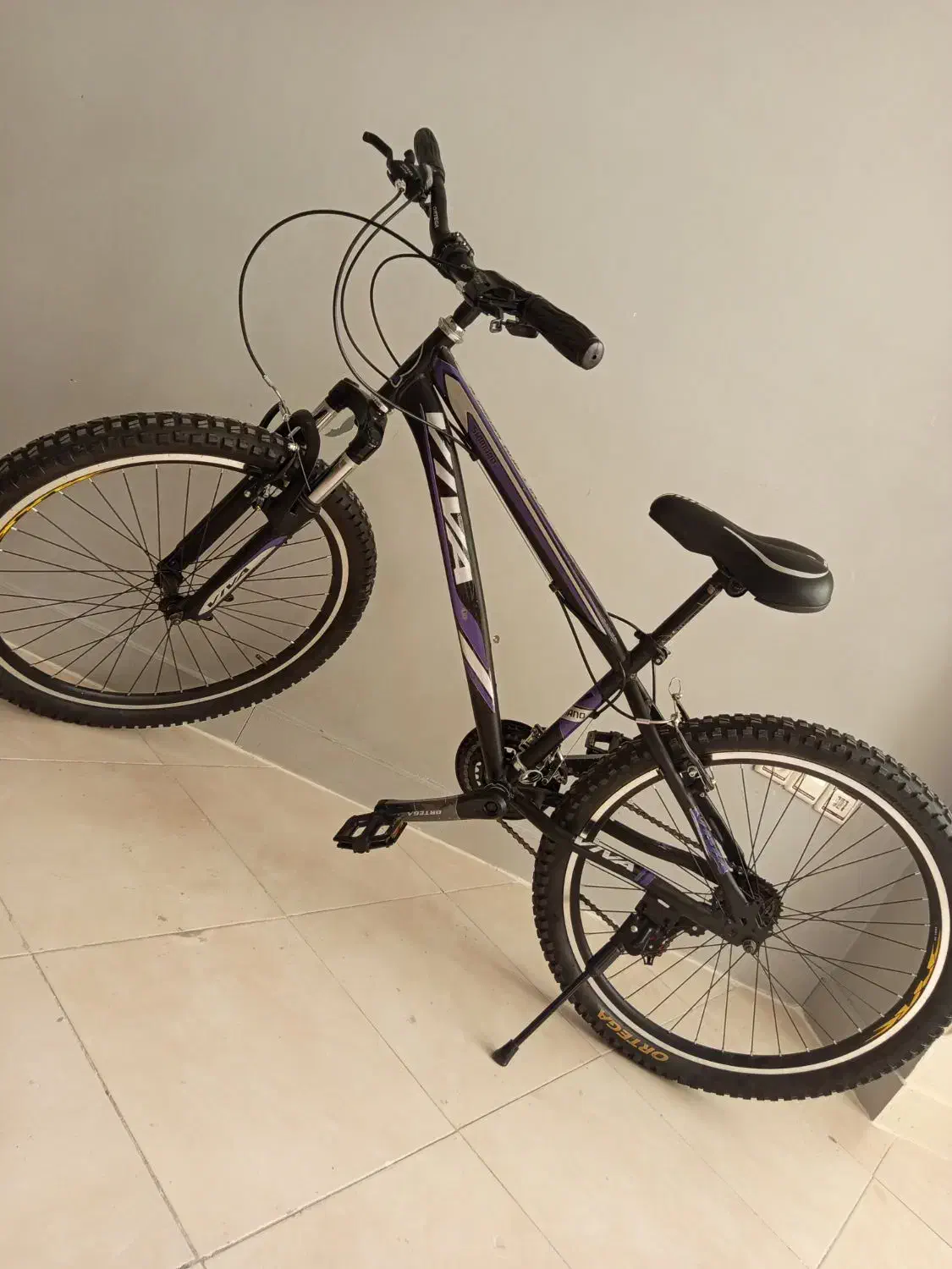 دوچرخه ویوا|دوچرخه، اسکیت، اسکوتر|محمدشهر, همایون ویلا|دیوار