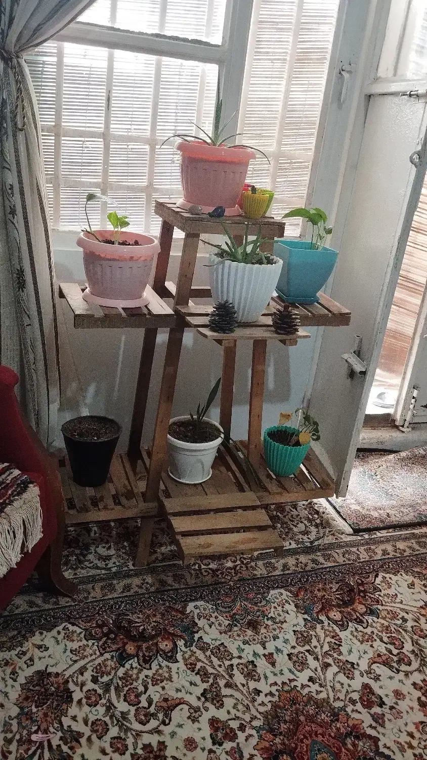 پایه گل|گل و گیاه طبیعی|تربت جام, معدآباد|دیوار