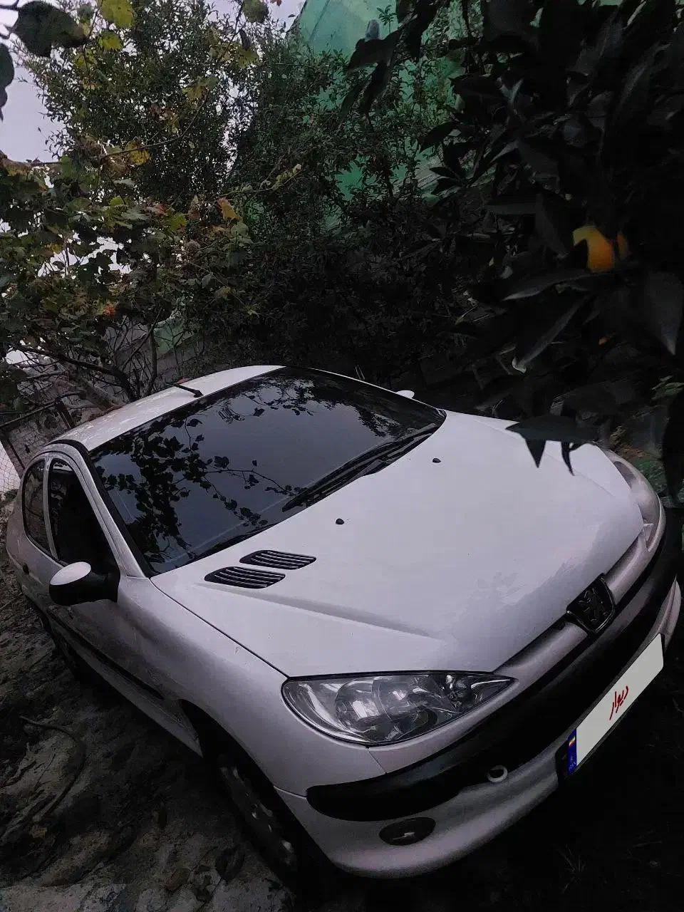 ماشین ۲۰۶ sd سفید v8|خودرو سواری و وانت|بابل, |دیوار