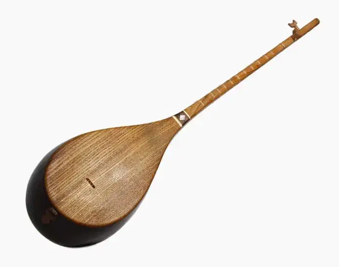 آموزش دوتار شمال خراسان توسط مربی خانم|خدمات آموزشی|مشهد, زیبا شهر|دیوار