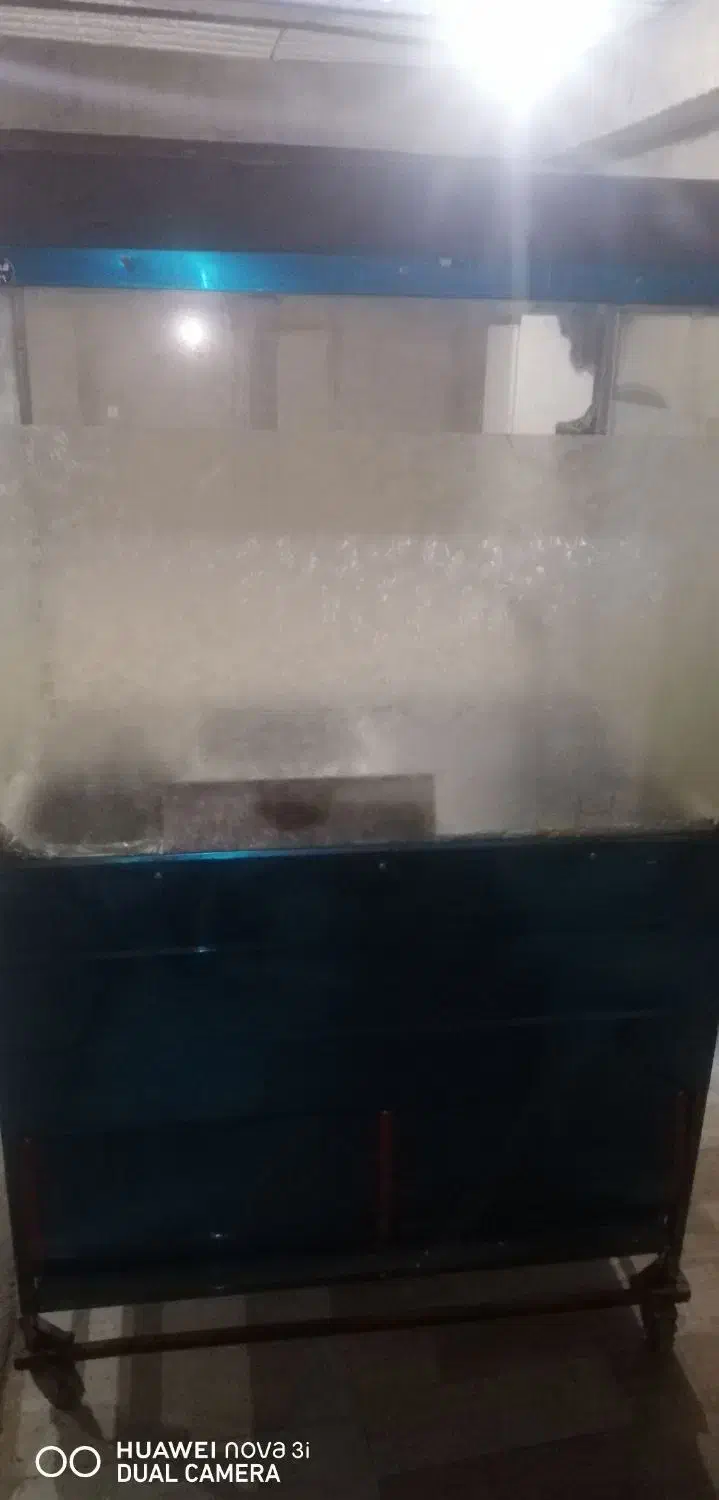 فر پیتزا،کباب پز تابشی،میز صندلی|کافیشاپ و رستوران|هشتگرد, شهرک دانش|دیوار