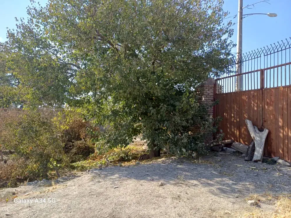 باغ دور دیوار|فروش زمین و ملک کلنگی|تربتحیدریه, حیدرآباد|دیوار