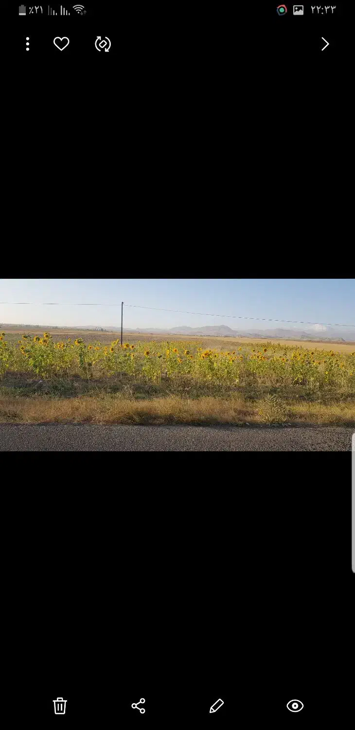 فروش زمین زراعی|فروش دفتر صنعتی، کشاورزی، تجاری|نمین, |دیوار