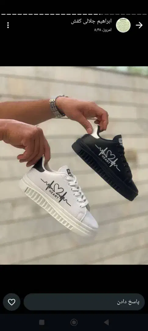 کفش شیک|کیف، کفش، کمربند|سوسنگرد, |دیوار