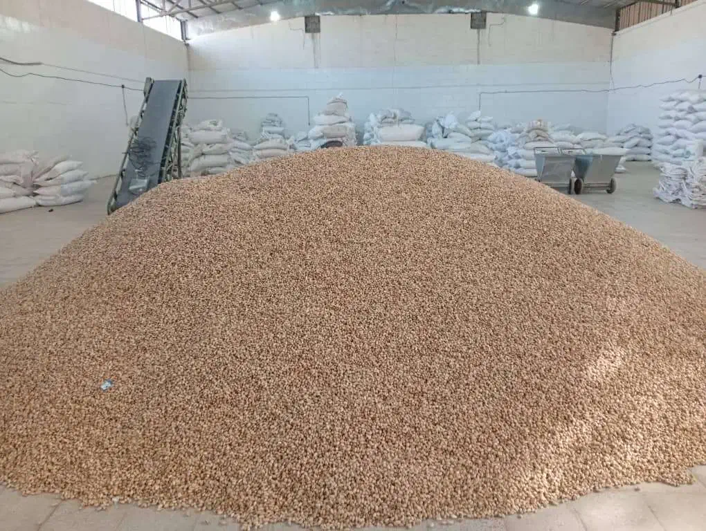 عرضه مستقیم پسته داوری|خوردنی و آشامیدنی|شیراز, انجیره|دیوار