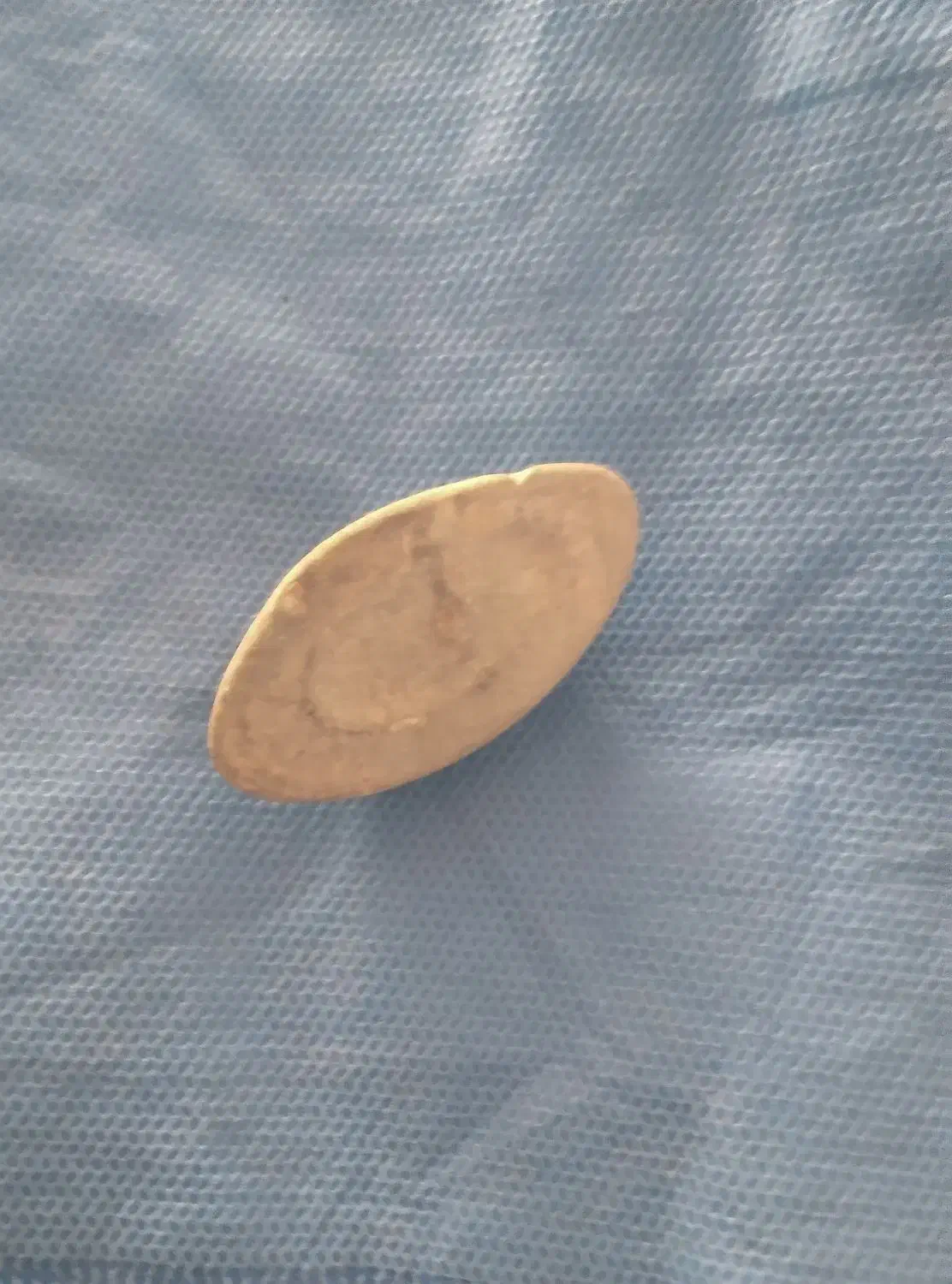 فروشی|کلکسیون اشیاء عتیقه|آبیک, |دیوار