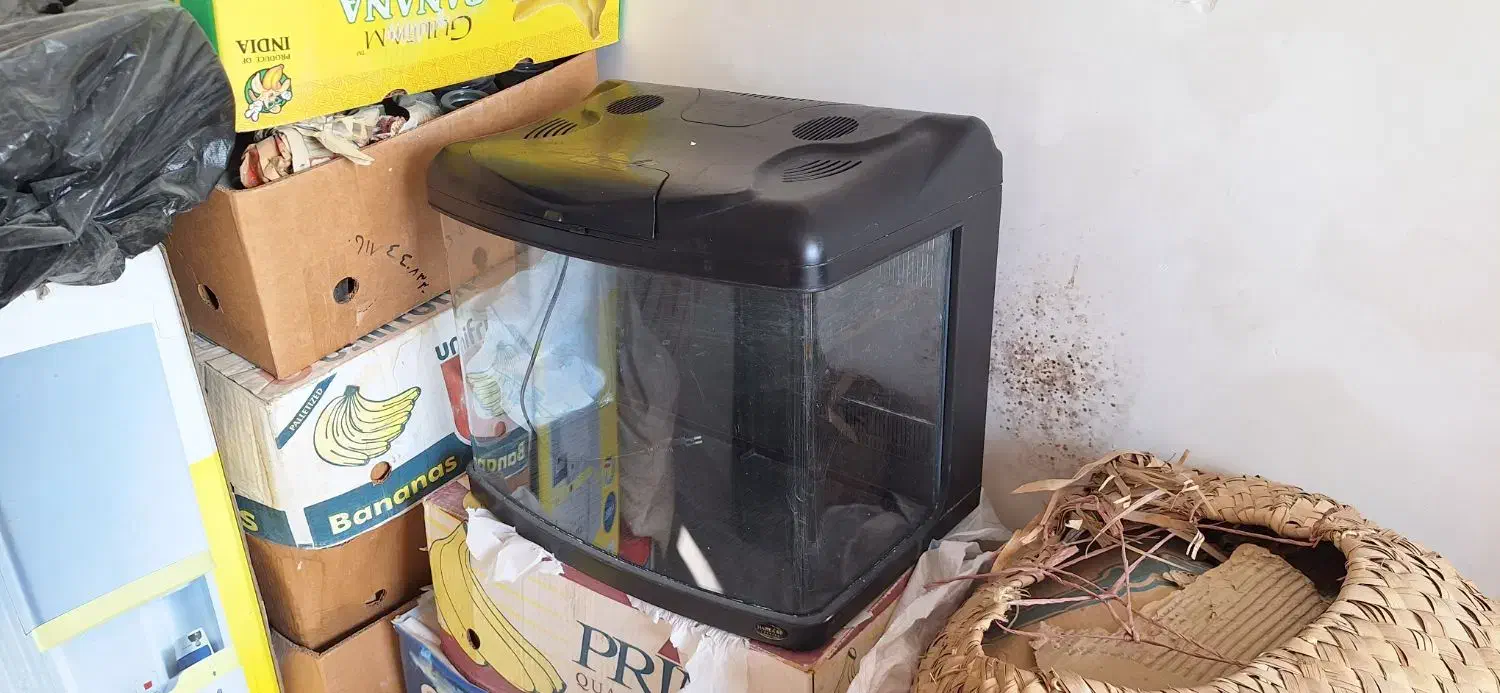 شیشه اکواریوم|ماهی|بندر کنگان, |دیوار