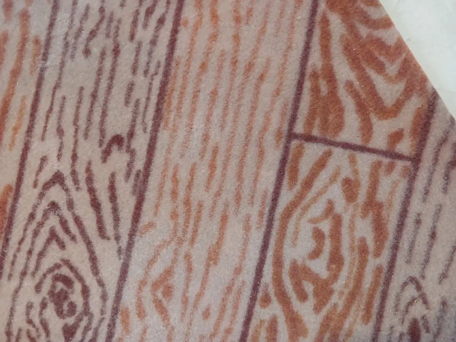 موکت|موکت|کرمان, |دیوار