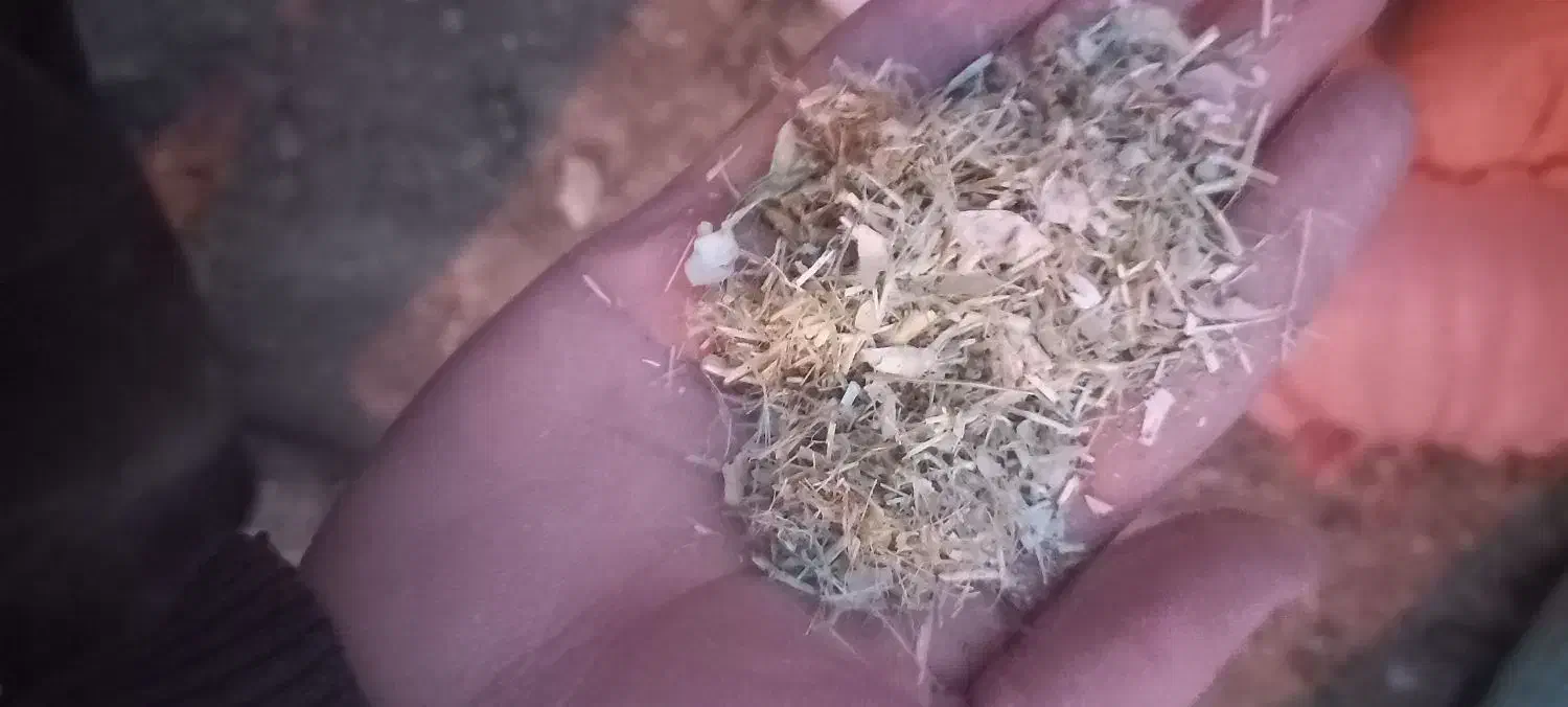 کاه لوبیا|حیوانات مزرعه|دهگلان, |دیوار