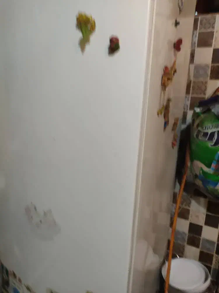 یخچال و فریزر کارکرده و بخاری|یخچال و فریزر|شوشتر, |دیوار