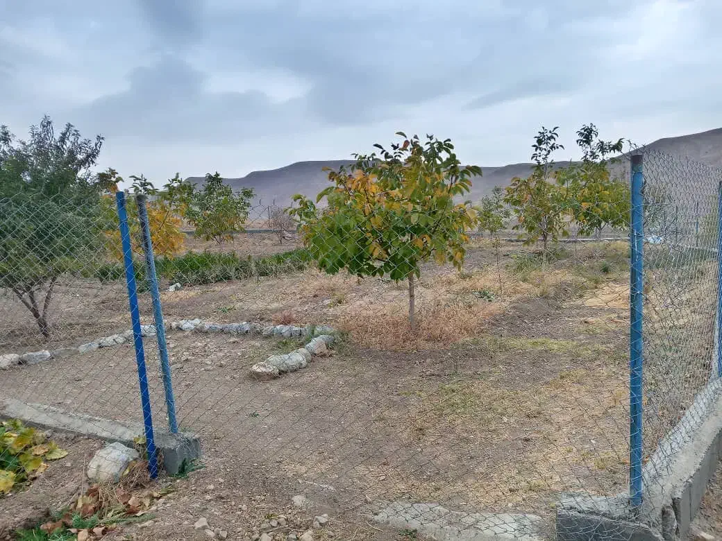 باغ۷۰۰متری|فروش زمین و ملک کلنگی|شبستر, |دیوار