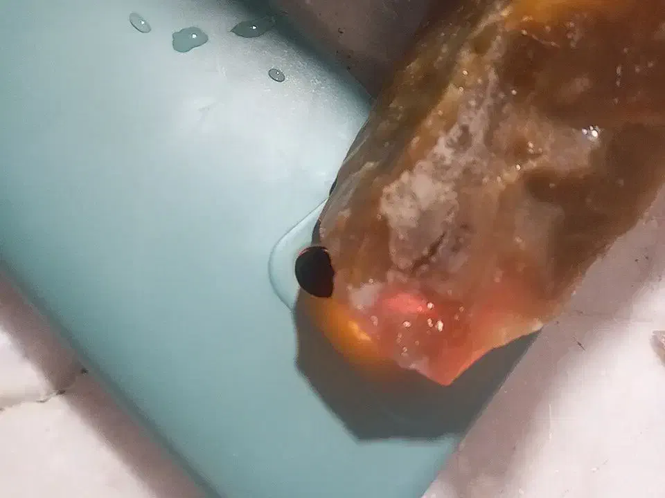 انواع سنگ عقیق|جواهرات|بیرجند, |دیوار