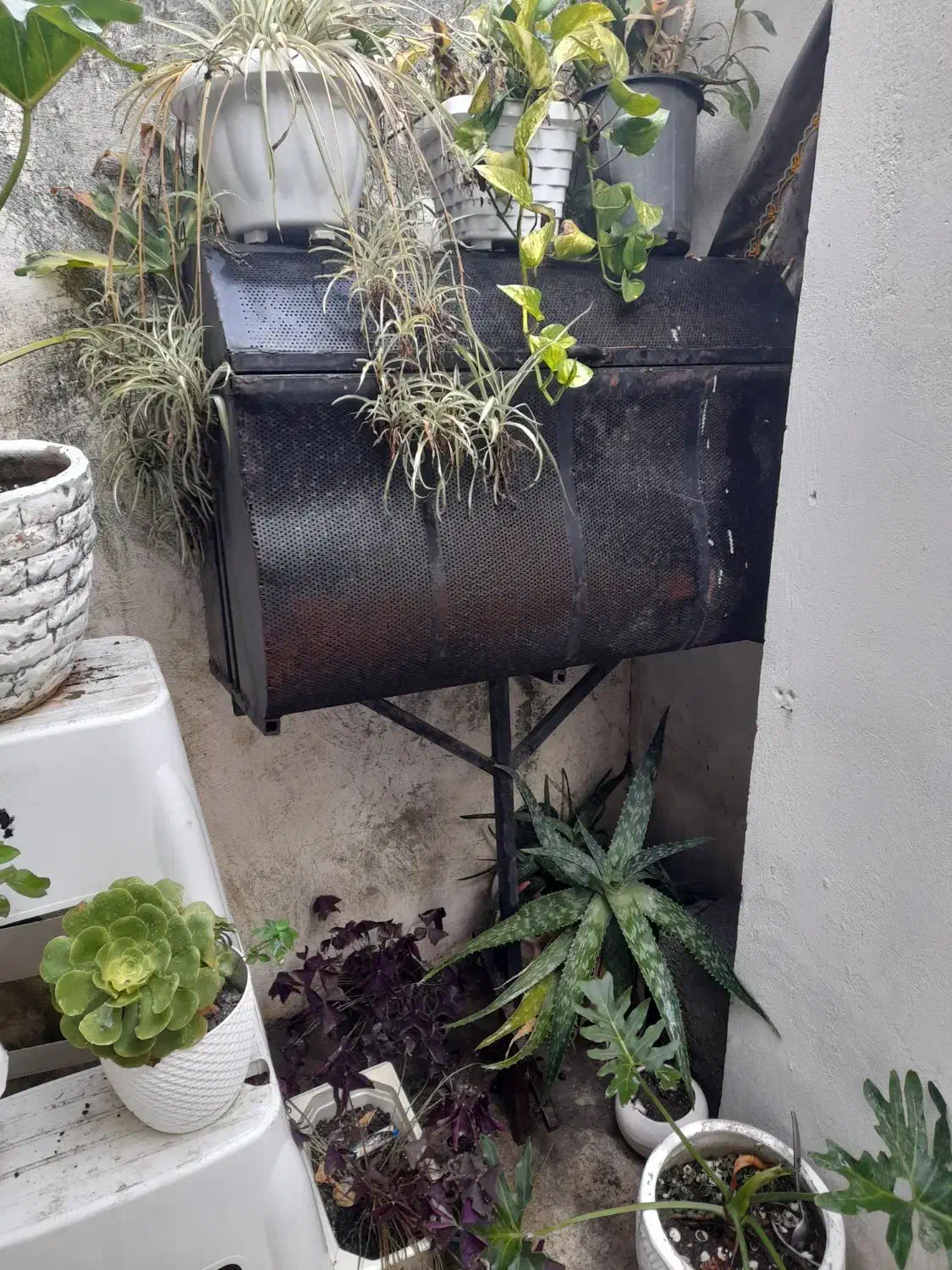 سطل یا سبد زباله|لوازم نظافت|آمل, |دیوار