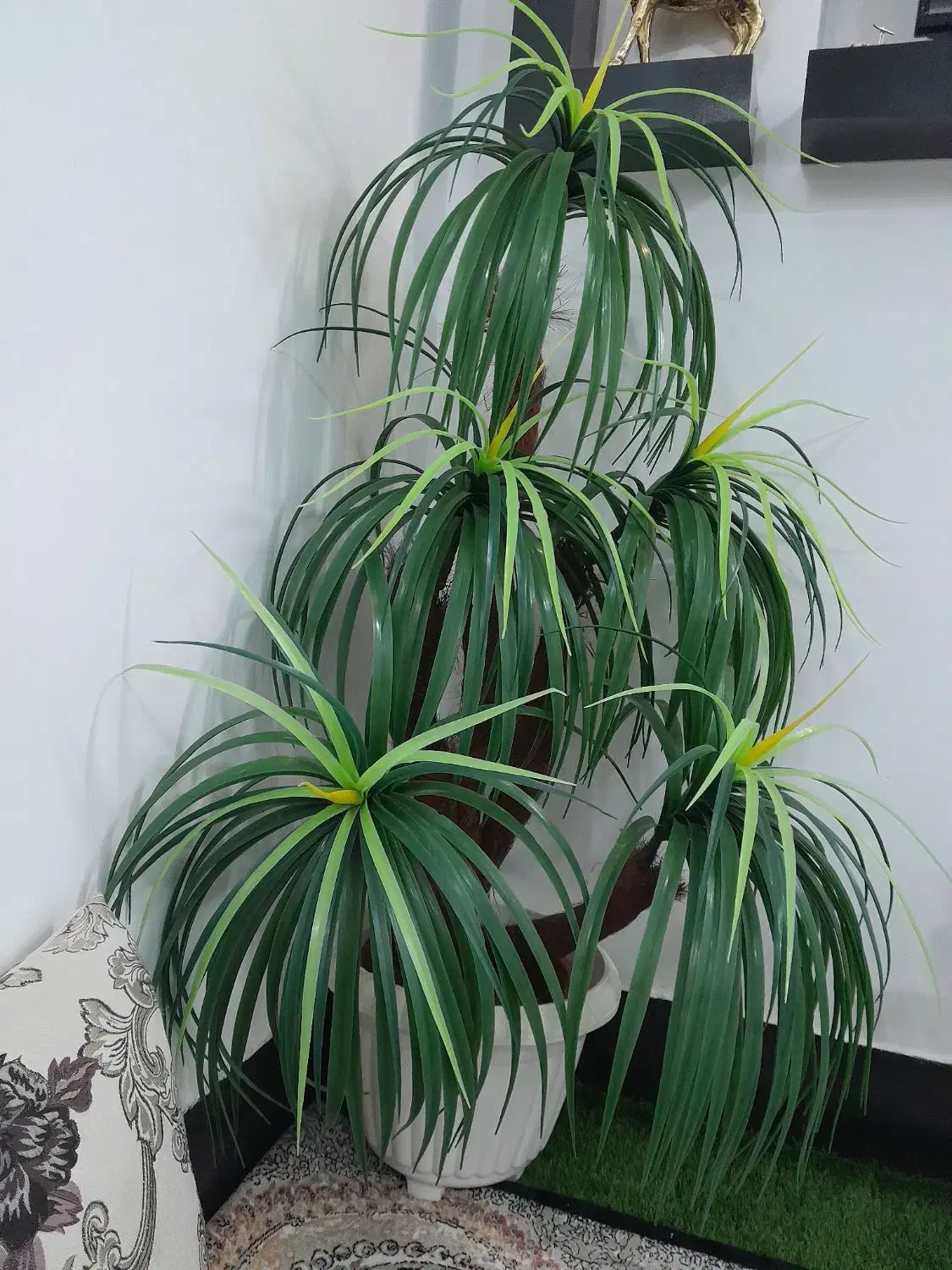 درختچه مصنوعی نخل مردابی|گل مصنوعی|زابل, |دیوار