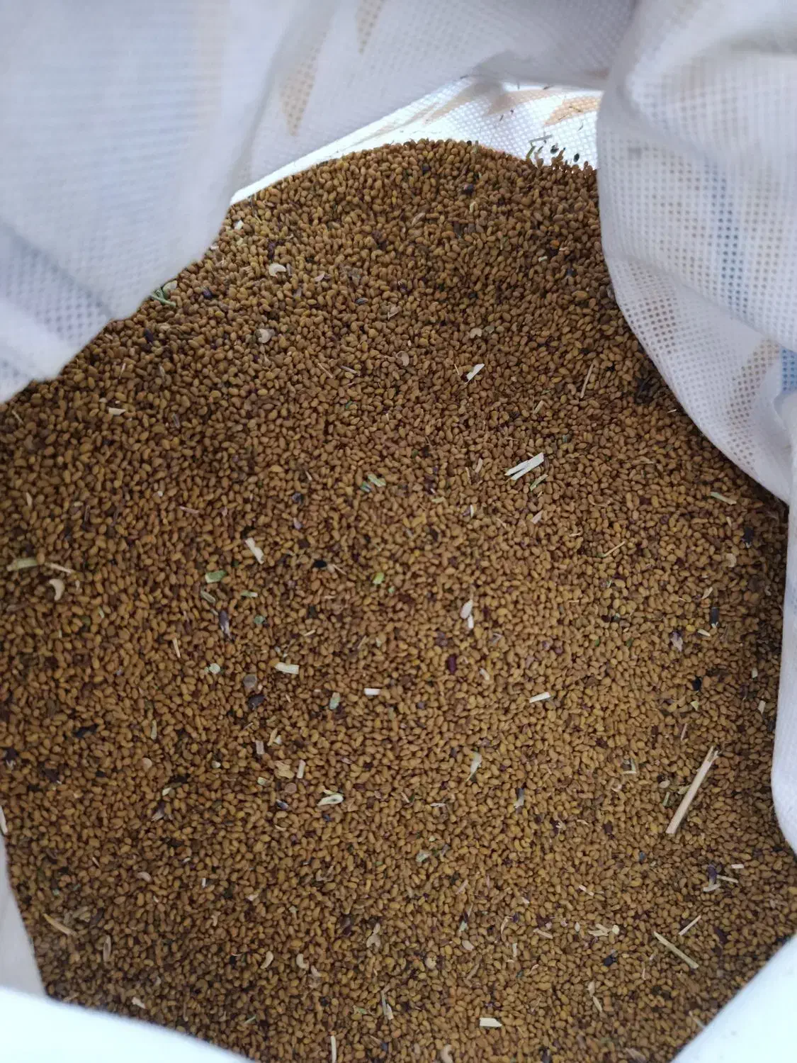 بذر|حراج|دیواندره, |دیوار