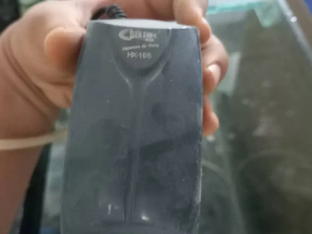 آکواریم وسایل عید نوروز|ماهی|مسجد سلیمان, |دیوار