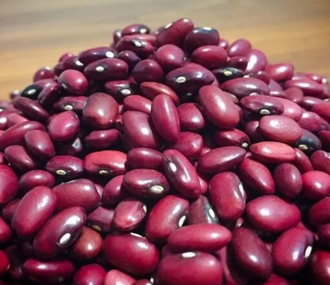 لوبیا قرمز درجه یک|خوردنی و آشامیدنی|مشهد, ایوان|دیوار