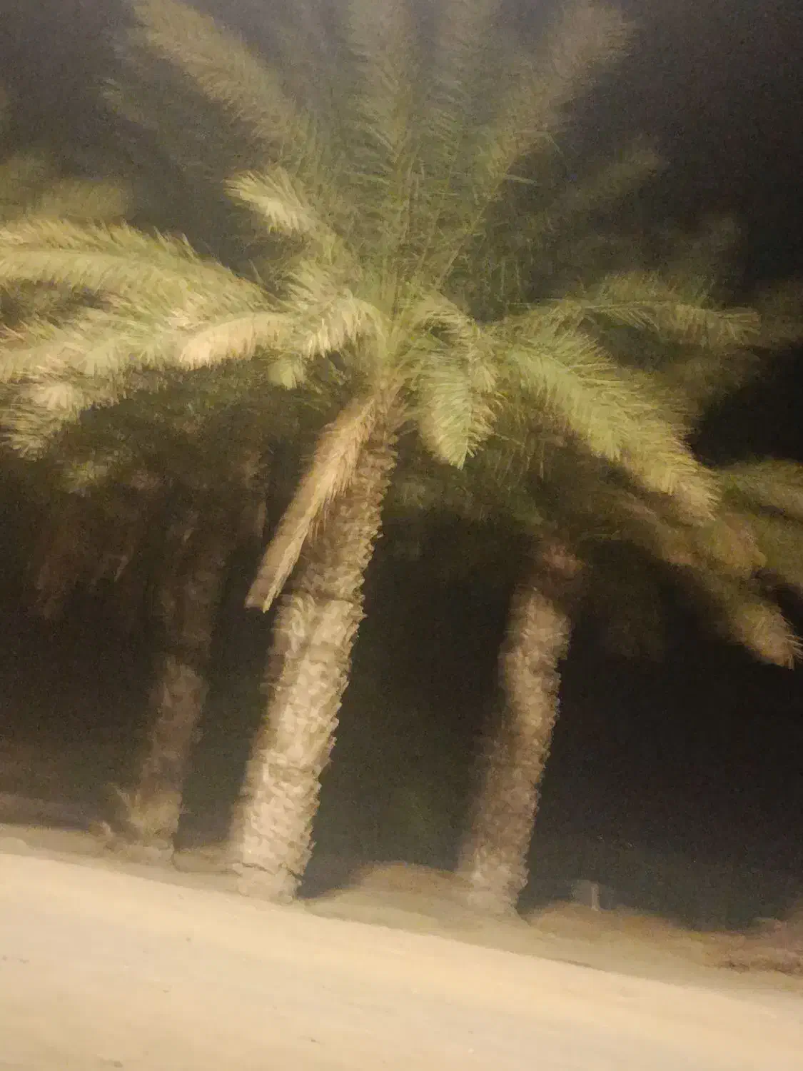 500|خدمات باغبانی و درختکاری|بلوک, |دیوار