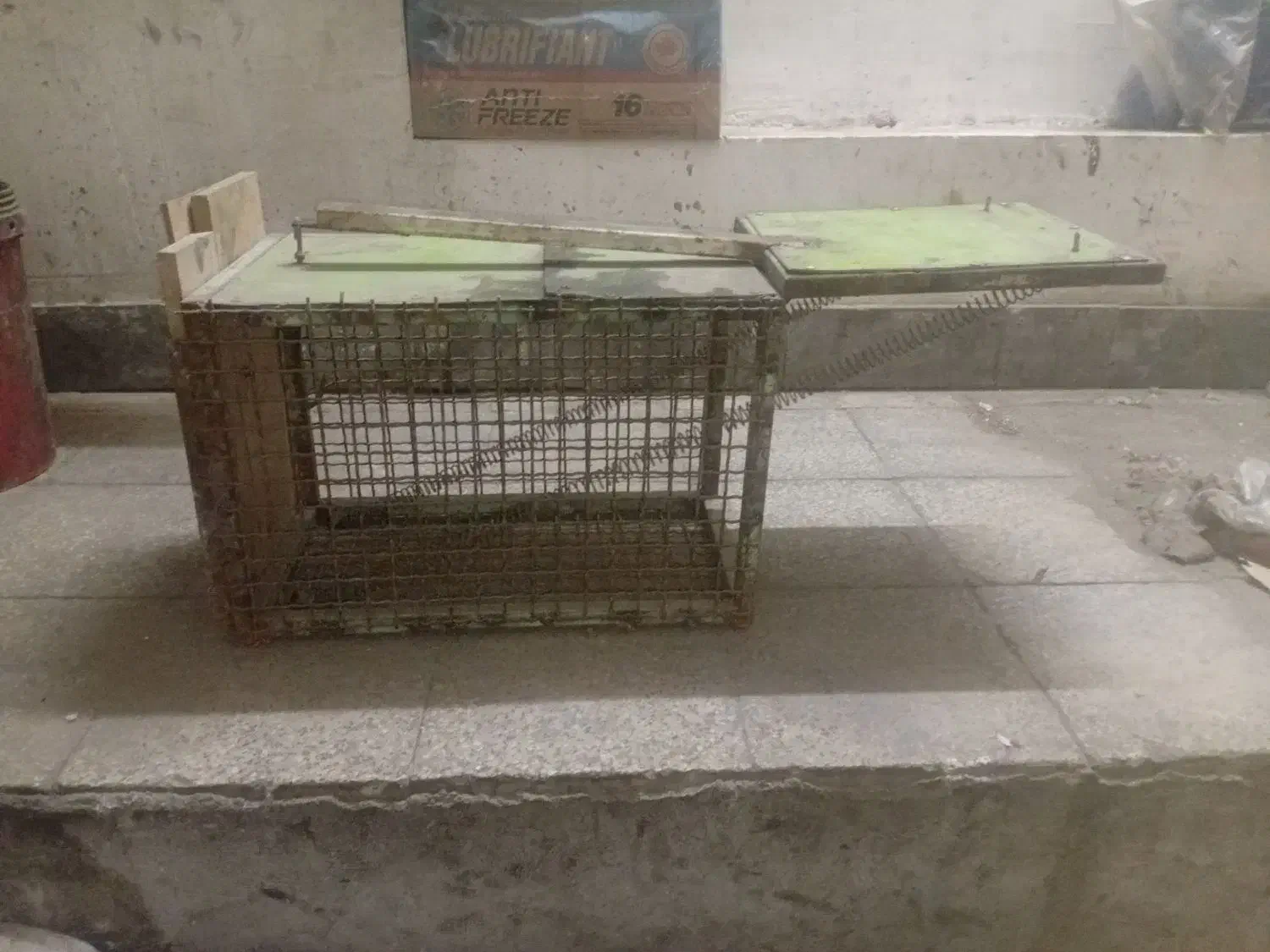 تله گربه گیر|لوازم جانبی حیوانات|کاشان, عربها|دیوار