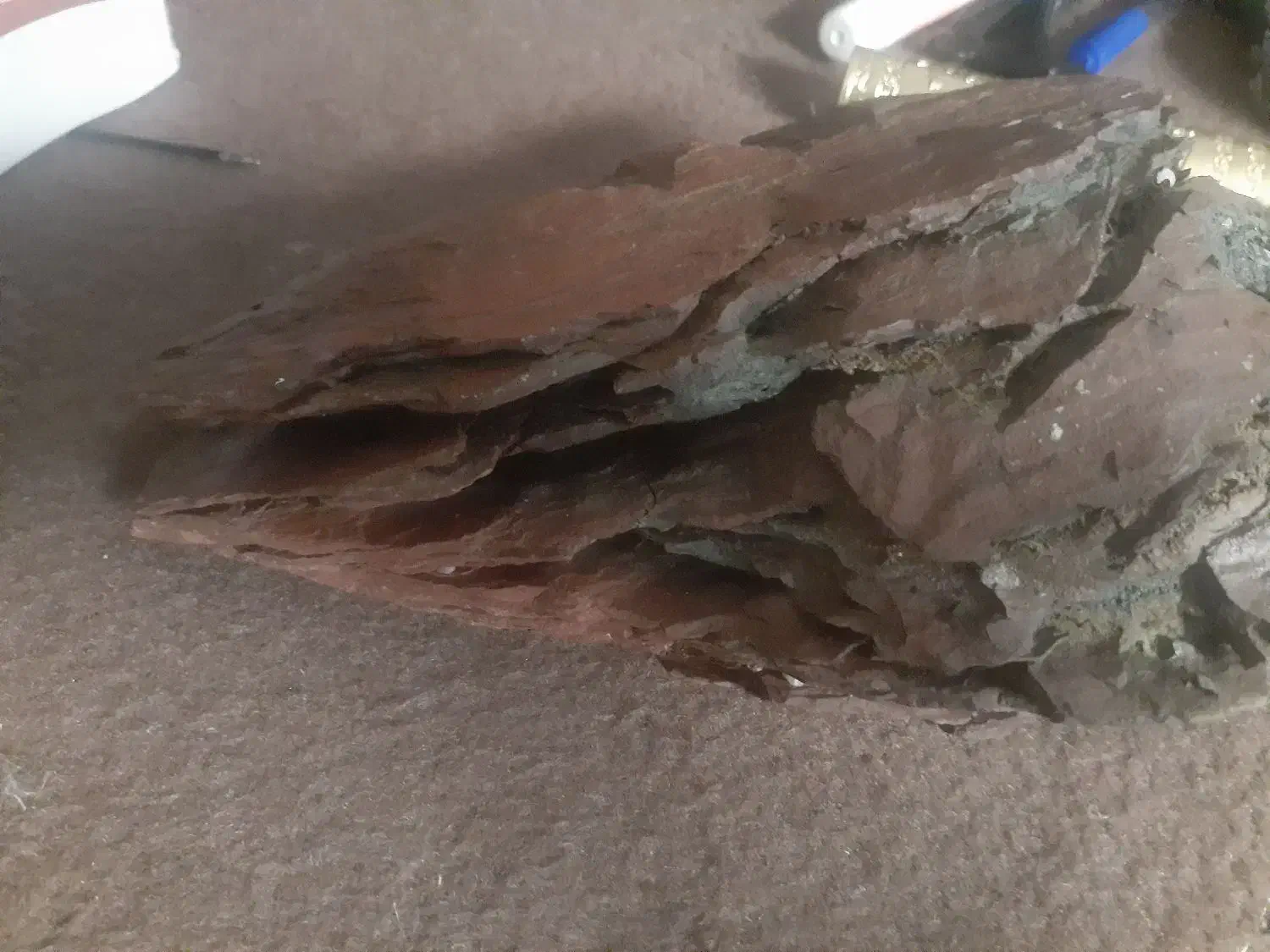 صخره زیبا|ماهی|تالش, هشتپر|دیوار