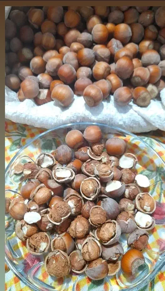 محصولات خانگی و غذایی ارگانیک|خوردنی و آشامیدنی|کلاچای, |دیوار