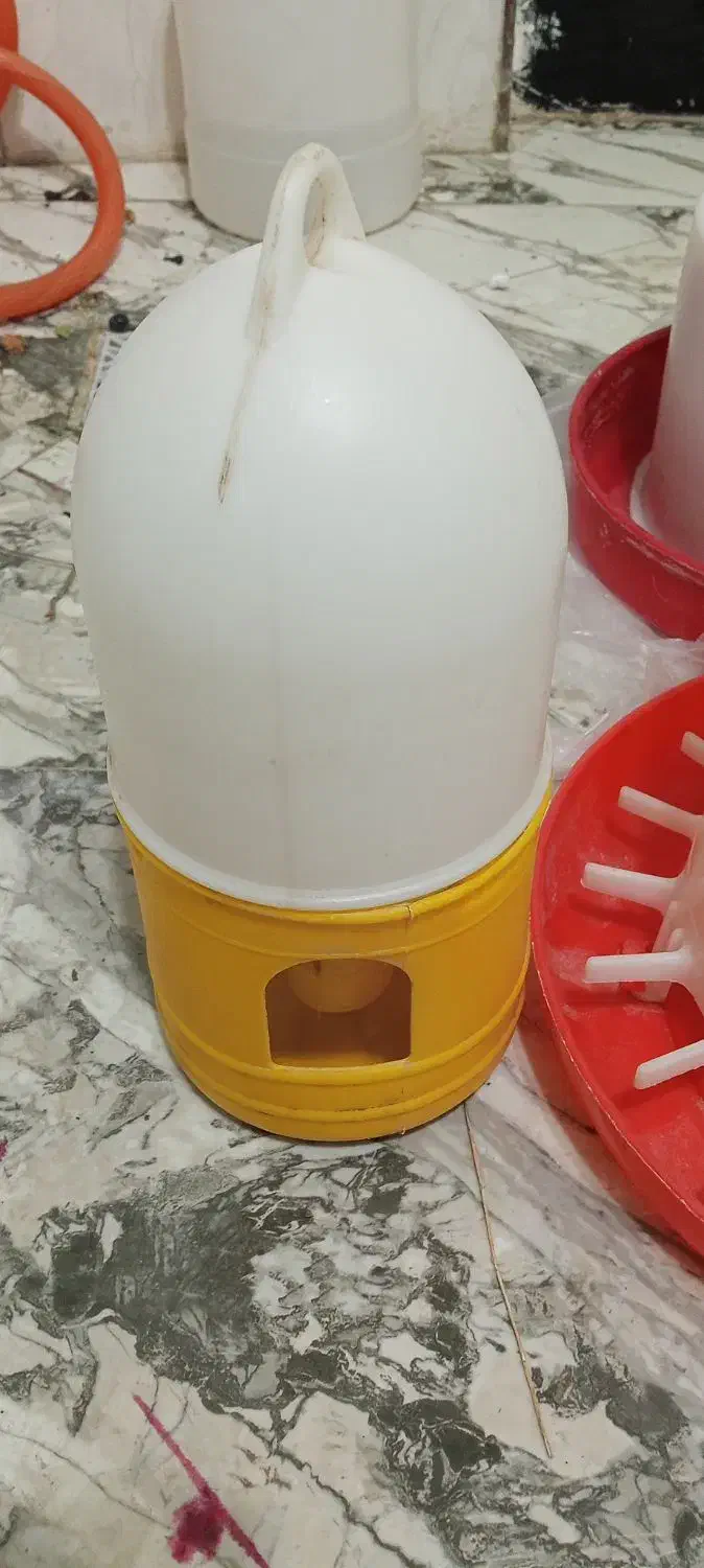 جا دانی و جا آبی پرنده|لوازم جانبی حیوانات|سنندج, |دیوار