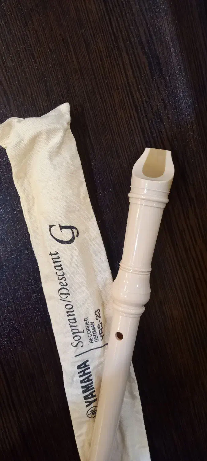 فلوت یاماهااصلی|سازهای بادی|اصفهان, بهارستان|دیوار