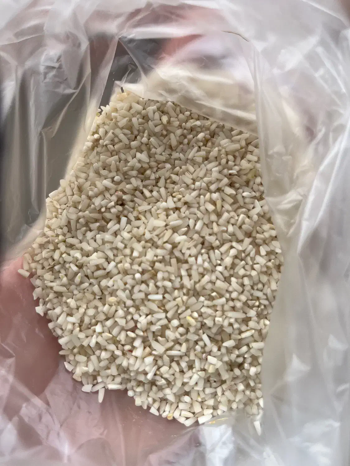 برنج نیم دانه هاشمی|خوردنی و آشامیدنی|رشت, آزادگان|دیوار