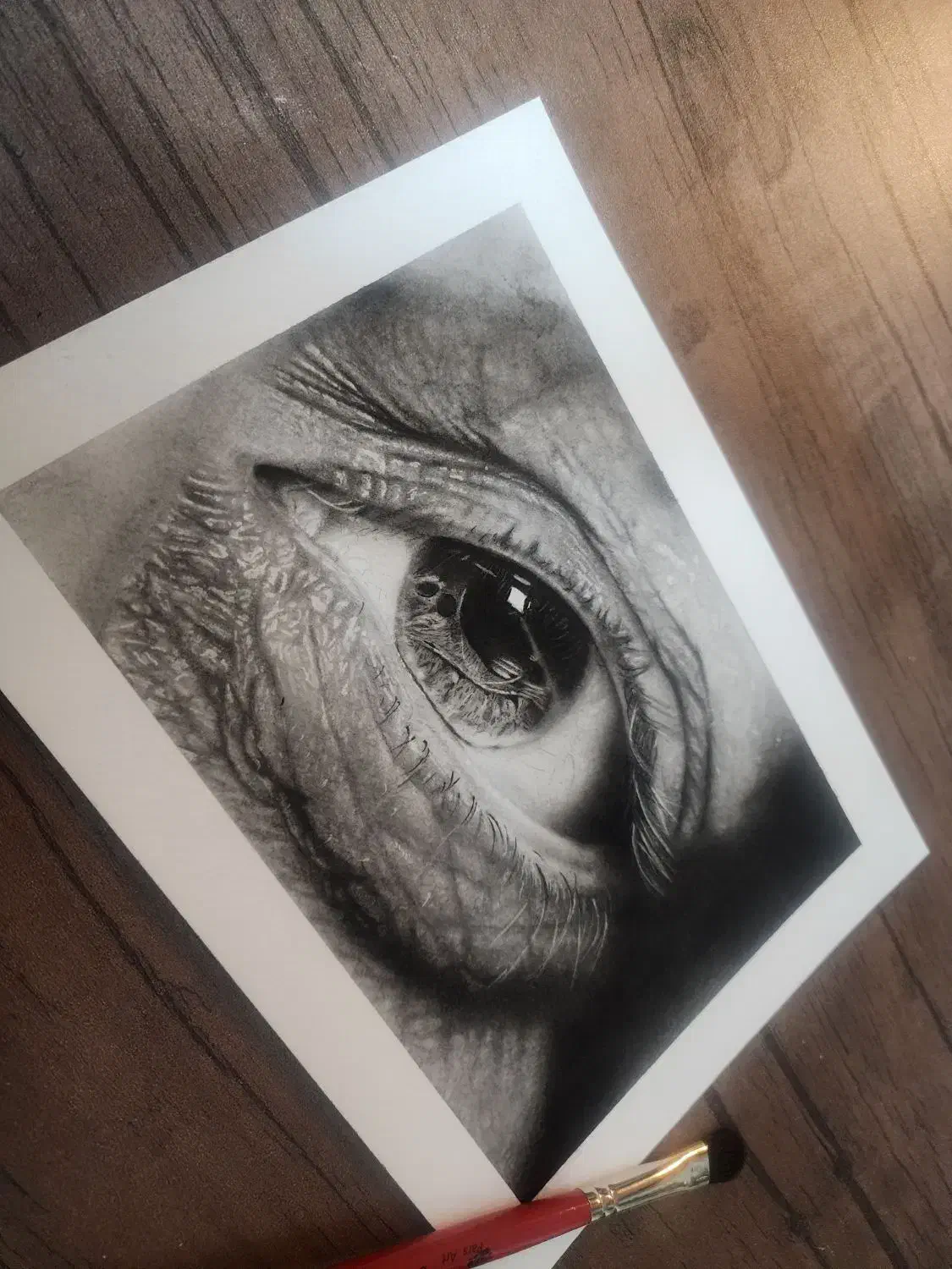 آموزش تخصصی سیاه قلم|خدمات آموزشی|قم, نخودی|دیوار