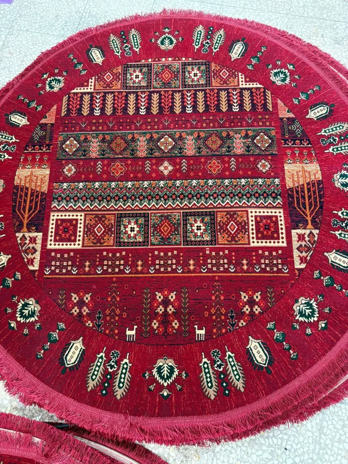 فرشهفصد شانه|فرش|بندرعباس, |دیوار