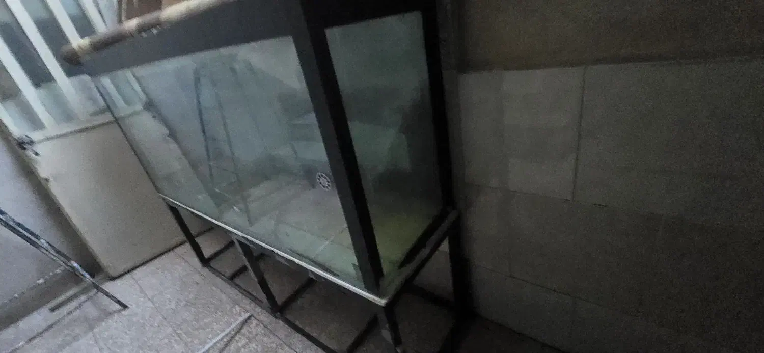 اکواریوم|ماهی|فردیس, شهرک شهید حسینی|دیوار