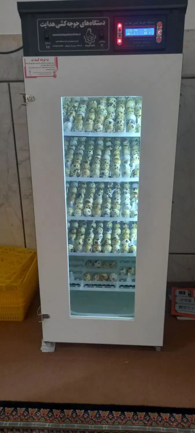 دستگاه جوجه کشی ۲۱۰تایی هدایت کم کار به ضمانت|لوازم جانبی حیوانات|لنجان, |دیوار