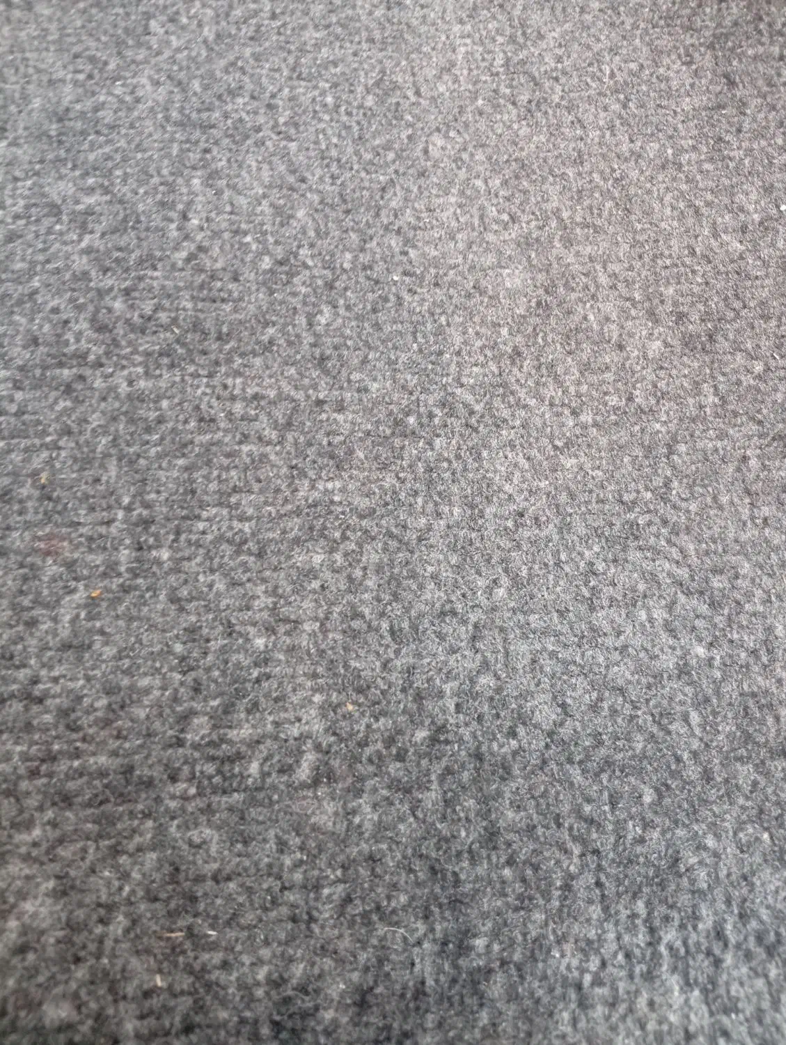 موکت|موکت|کرمان, |دیوار