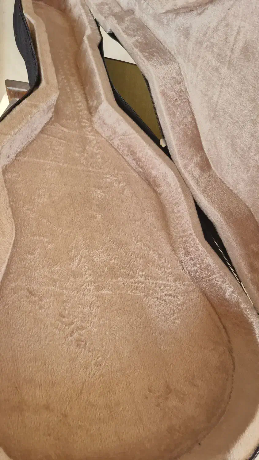 هاردکیس گیتار|گیتار، بیس، امپلیفایر|شیراز, میانرود|دیوار