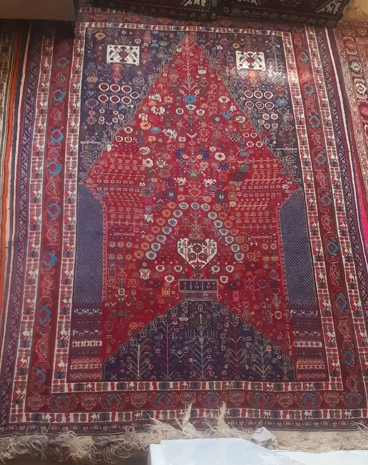 قالی دستباف|فرش|سپیدان, |دیوار