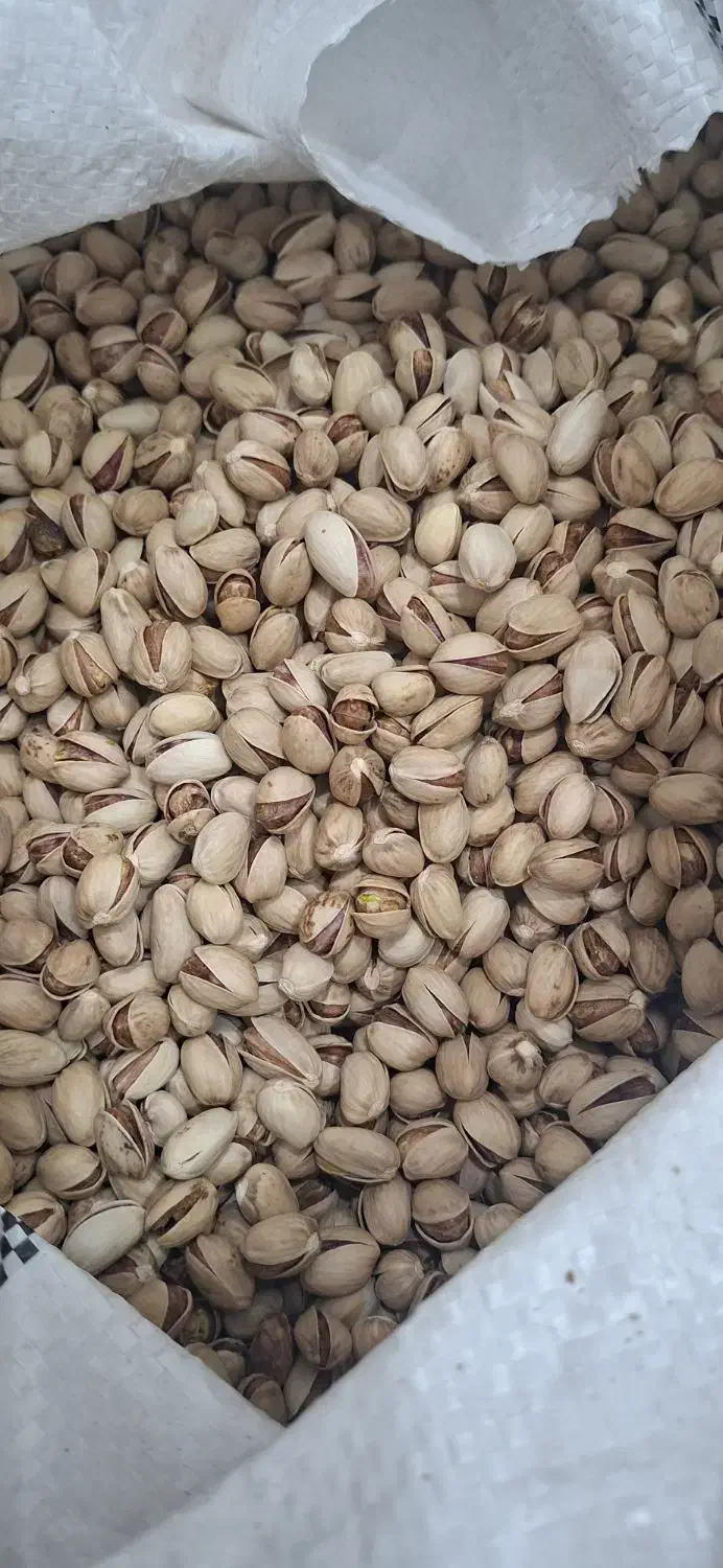 پسته درجه۱ اصل رفسنجان|خوردنی و آشامیدنی|رفسنجان, |دیوار