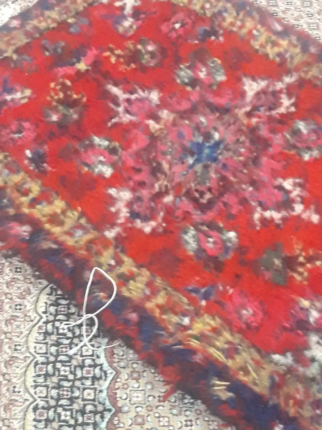 پادری دست بافت|فرش|اردبیل, |دیوار