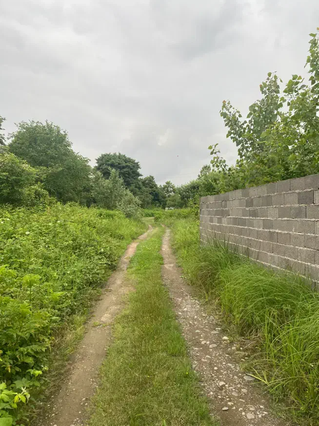 زمین ۵۰۳ مسکونی در لاکان شهر جنب مهندسین گیل|فروش زمین و ملک کلنگی|رشت, لاکان شهر|دیوار