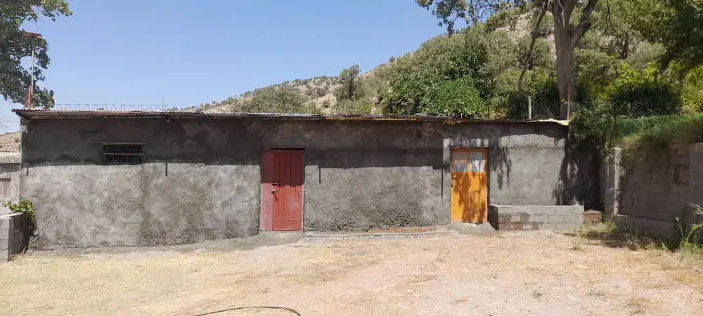 اجاره یک واحد گلدونی(پروار بندی)|اجارهٔ دفتر صنعتی، کشاورزی، تجاری|پاتاوه, |دیوار