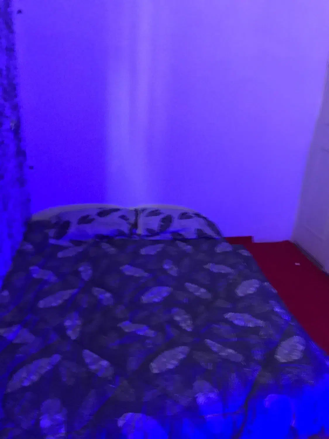 سوییت سویت سوئیت هتل اپارتمان مبله بازار بزرگ|اجارهٔ کوتاه‌مدت آپارتمان و سوئیت|تهران, شهمیرزادی|دیوار