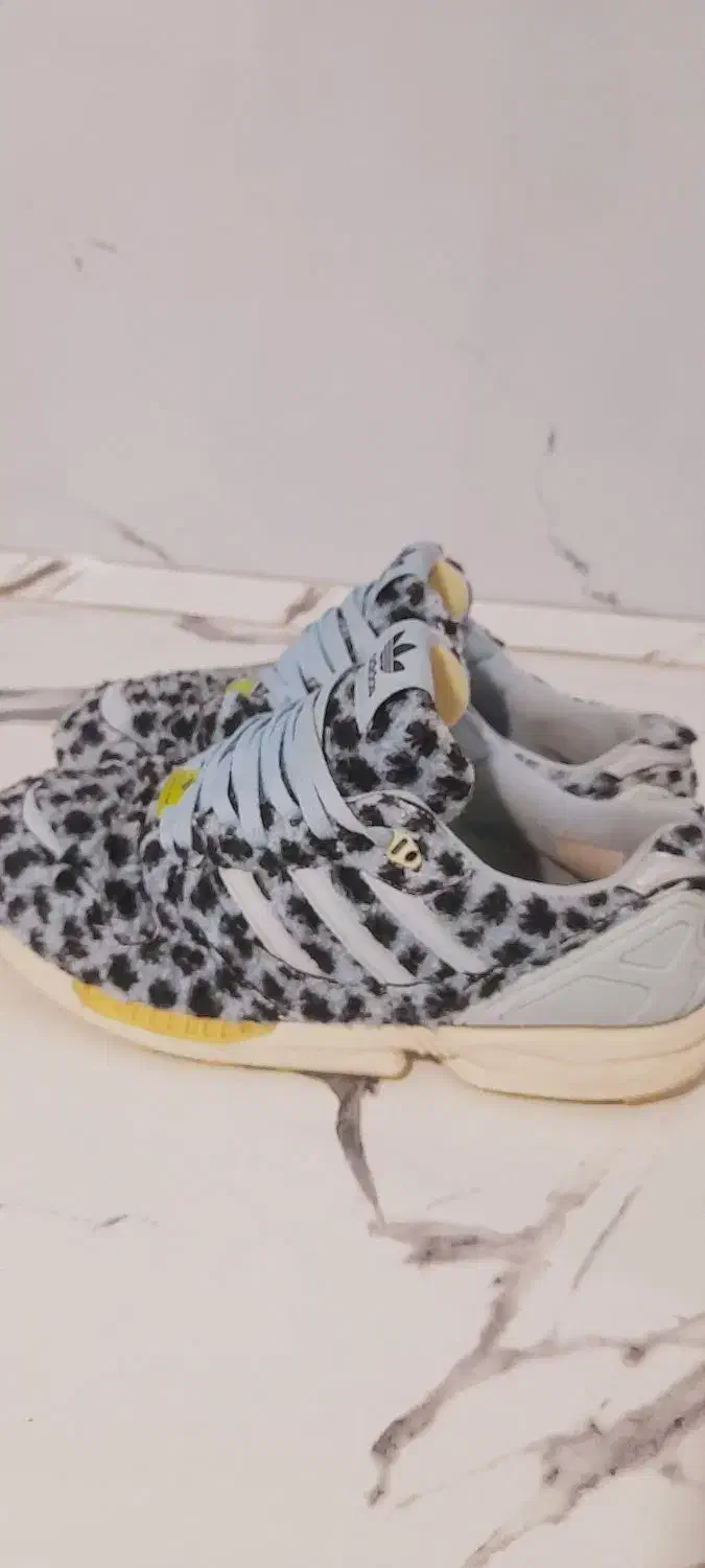 کتونی zx تدی|کیف، کفش، کمربند|رباطکریم, الارد|دیوار