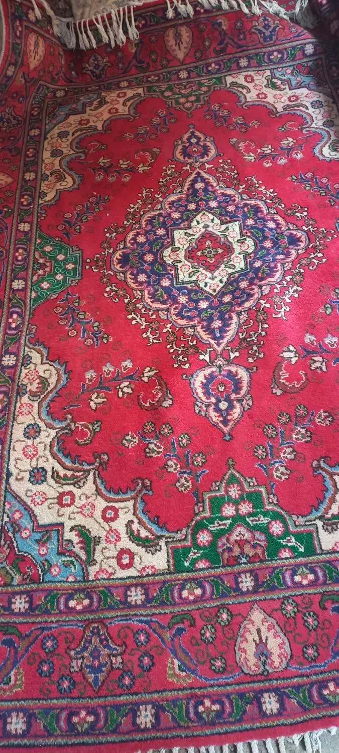 فرش دستباف ۱۲ متری|فرش|میاندوآب, |دیوار