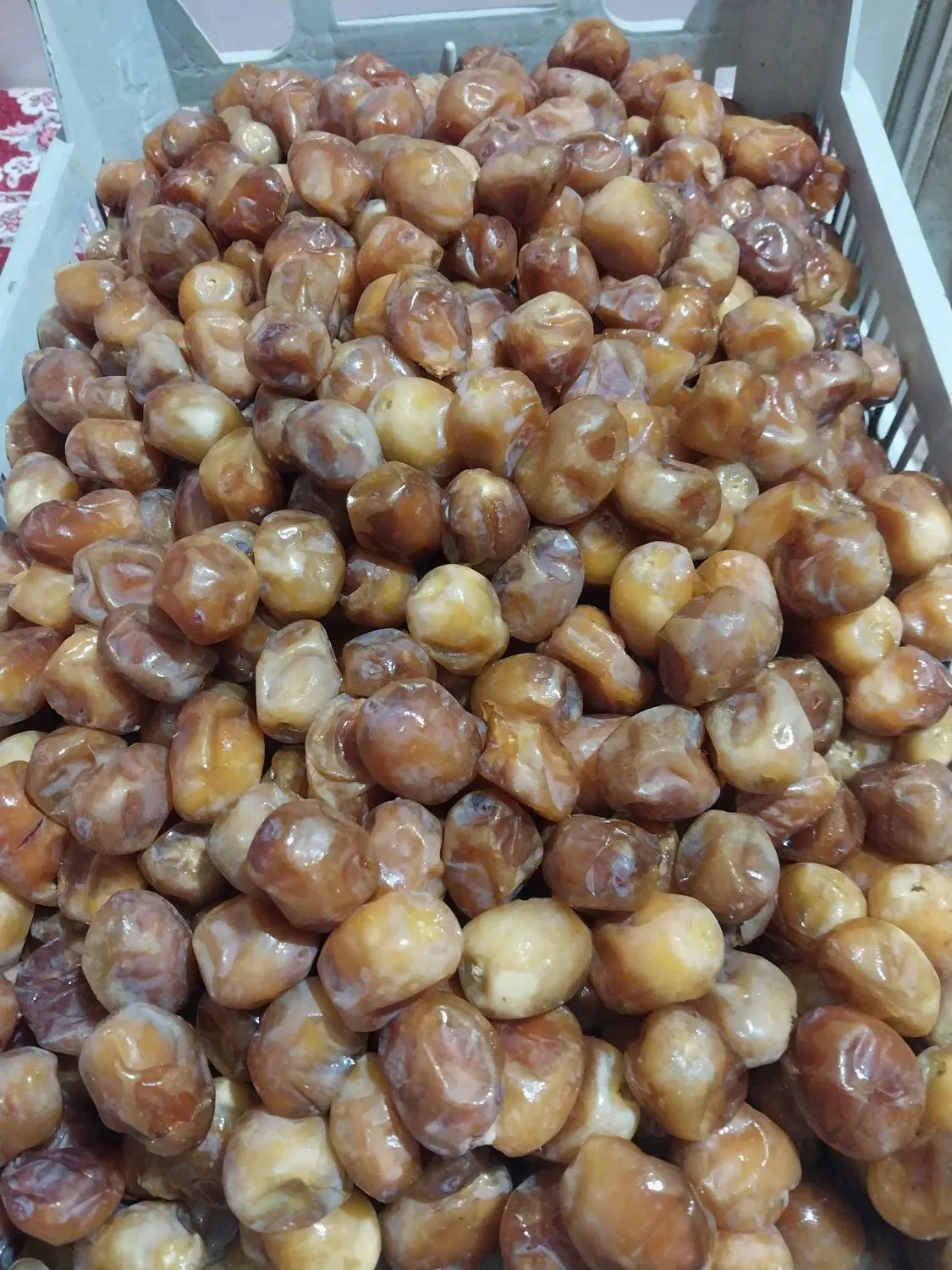 رطب|خوردنی و آشامیدنی|بوشهر, |دیوار